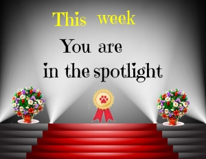 an in the spotlights award